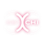 CHI Network