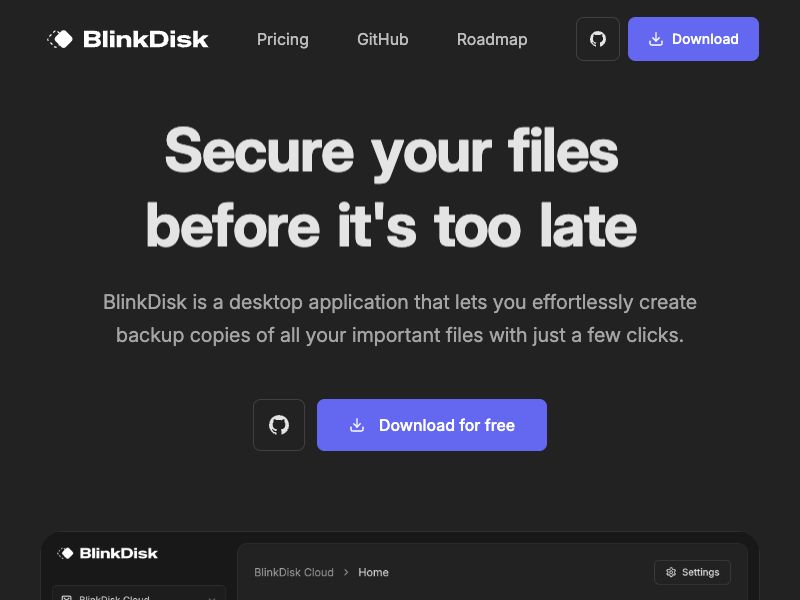 BlinkDisk