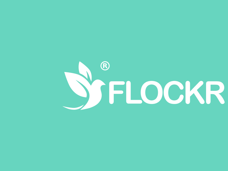 Flockr.co Screenshot