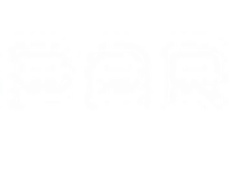 PARTNER2B Screenshot