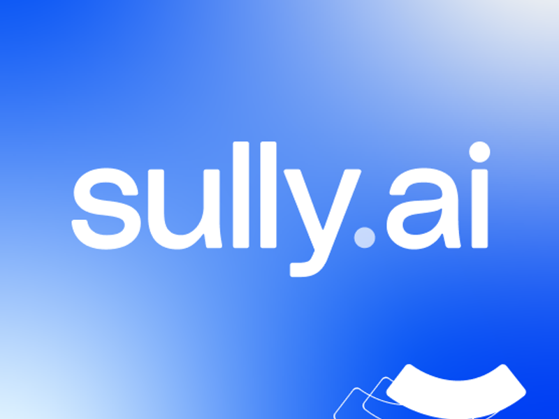 Sully AI Screenshot