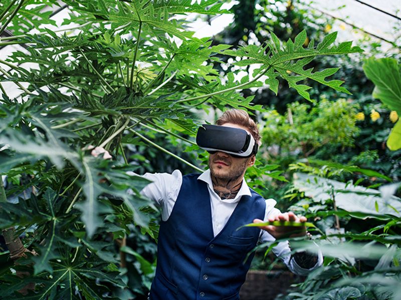 The Startup Supercup Screenshot