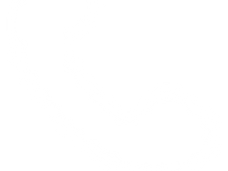 Tyrewaale Screenshot